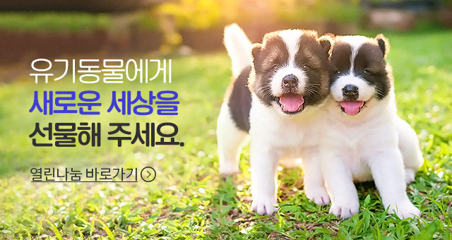 유기동물들을 위한 새로운 세상을 선물해 주세요-